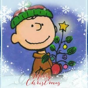 Meet your Posher, Beverly